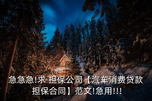 急急急!求 擔(dān)保公司【汽車消費貸款 擔(dān)保合同】范文!急用!!!