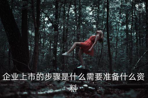企業(yè)上市的步驟是什么需要準備什么資料