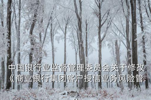  中國銀行業(yè)監(jiān)督管理委員會關(guān)于修改《商業(yè)銀行集團客戶授信業(yè)務(wù)風(fēng)險管...