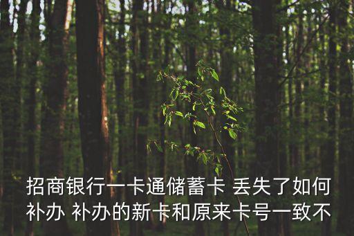 招商銀行丟失如何補辦