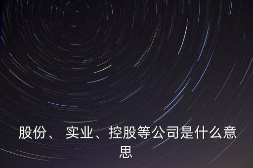  股份、 實業(yè)、控股等公司是什么意思