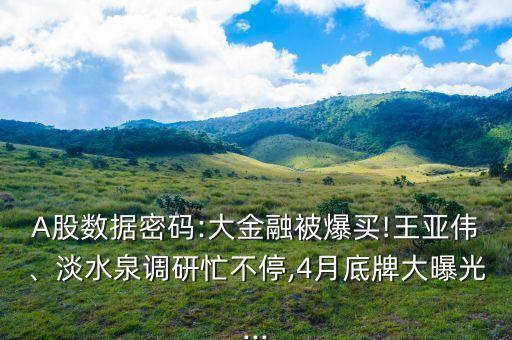 A股數(shù)據(jù)密碼:大金融被爆買!王亞偉、淡水泉調(diào)研忙不停,4月底牌大曝光...