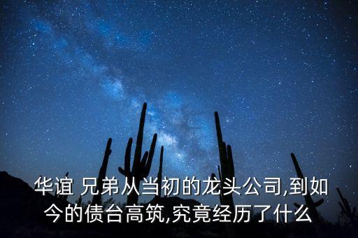  華誼 兄弟從當初的龍頭公司,到如今的債臺高筑,究竟經(jīng)歷了什么
