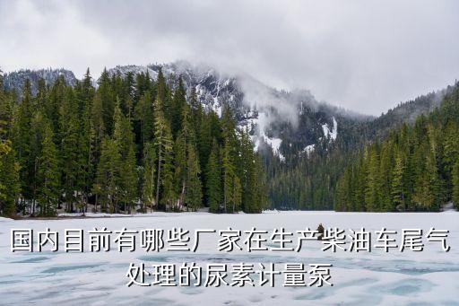 國(guó)內(nèi)目前有哪些廠家在生產(chǎn)柴油車(chē)尾氣處理的尿素計(jì)量泵