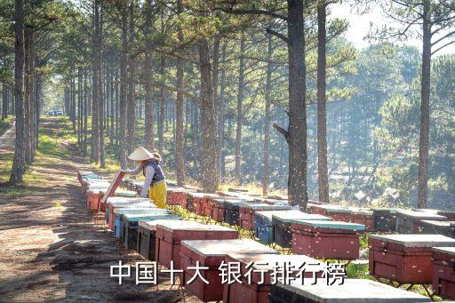 中國十大 銀行排行榜