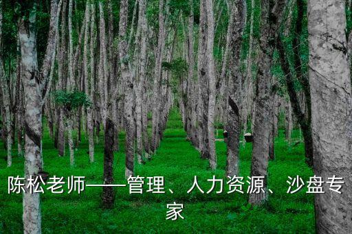 陳松老師——管理、人力資源、沙盤(pán)專家