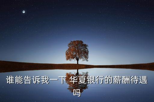 誰(shuí)能告訴我一下 華夏銀行的薪酬待遇嗎