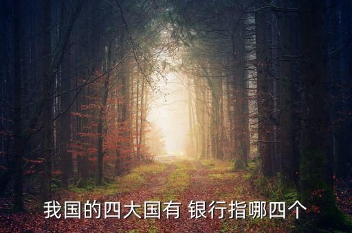 四大專業(yè)銀行分工,會計專業(yè)進四大好還是銀行好