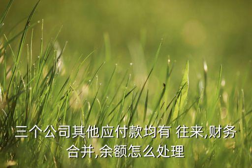 三個公司其他應(yīng)付款均有 往來,財務(wù)合并,余額怎么處理