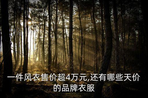 一件風(fēng)衣售價(jià)超4萬(wàn)元,還有哪些天價(jià)的品牌衣服
