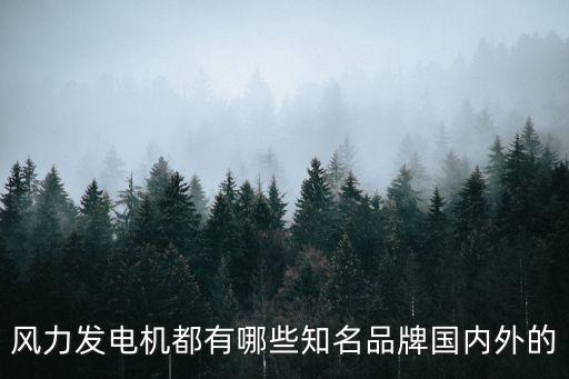 風力發(fā)電機都有哪些知名品牌國內(nèi)外的