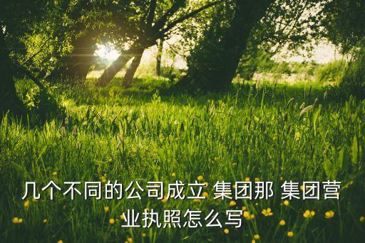 幾個不同的公司成立 集團(tuán)那 集團(tuán)營業(yè)執(zhí)照怎么寫