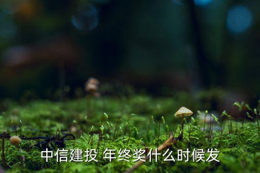 證券公司什么時候發(fā)年終獎,2022年證券公司年終獎發(fā)了嗎