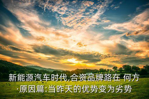 中國純電動汽車產(chǎn)業(yè)路在何方