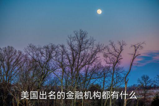 美國出名的金融機構都有什么