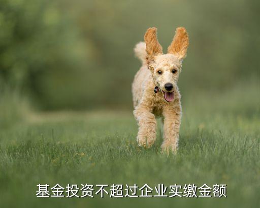  基金投資不超過企業(yè)實(shí)繳金額