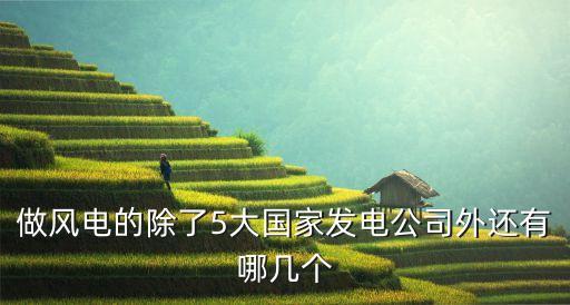 做風(fēng)電的除了5大國(guó)家發(fā)電公司外還有哪幾個(gè)