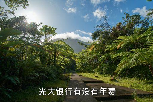  光大銀行有沒有年費(fèi)