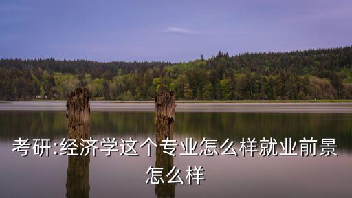 考研:經(jīng)濟(jì)學(xué)這個專業(yè)怎么樣就業(yè)前景怎么樣