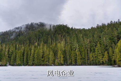 風電企業(yè)