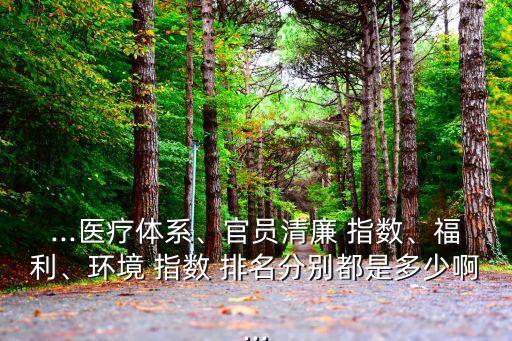 ...醫(yī)療體系、官員清廉 指數(shù)、福利、環(huán)境 指數(shù) 排名分別都是多少啊...