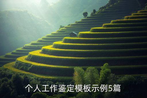 中國人壽公司財務(wù)報表分析
