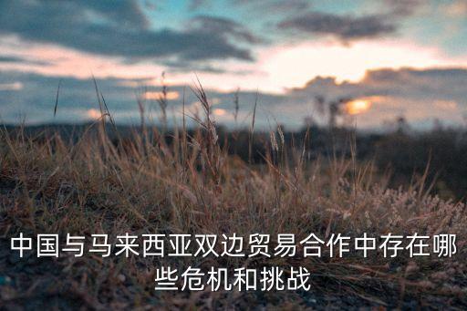 中國(guó)與馬來(lái)西亞雙邊貿(mào)易合作中存在哪些危機(jī)和挑戰(zhàn)