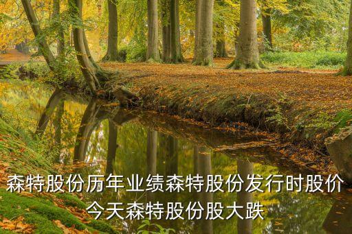 森特股份歷年業(yè)績森特股份發(fā)行時股價(jià)今天森特股份股大跌