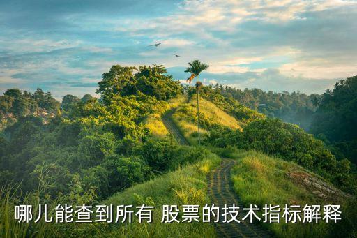 哪兒能查到所有 股票的技術(shù)指標解釋