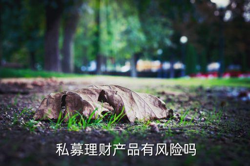 私募股權基金收益率