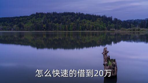 怎么快速的借到20萬
