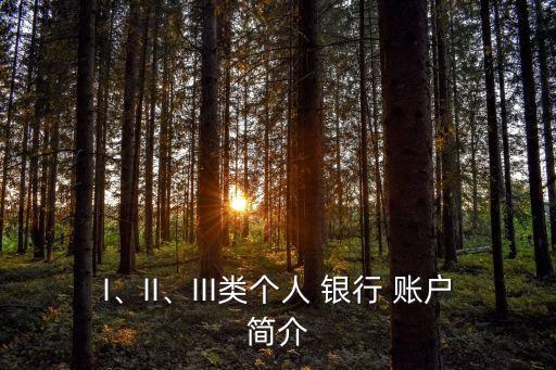 I、II、III類個人 銀行 賬戶簡介