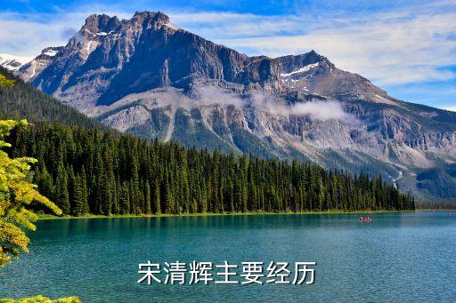 宋清輝主要經歷