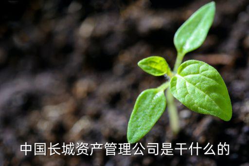 杭州國(guó)融置業(yè)有限公司,杭州錢(qián)塘城發(fā)置業(yè)有限公司