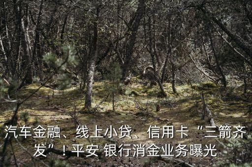 汽車(chē)金融、線上小貸、信用卡“三箭齊發(fā)”! 平安 銀行消金業(yè)務(wù)曝光