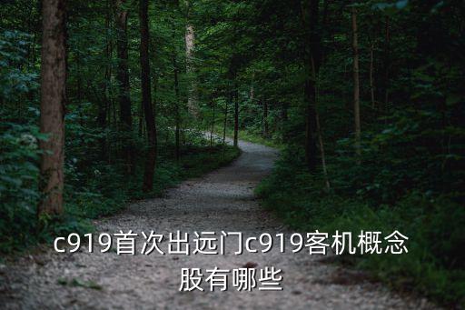 中國(guó)商飛股東有哪些