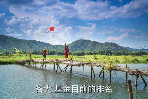 寶盈泛銀?；?天天基金寶盈泛沿海
