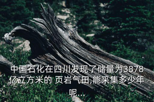 中國(guó)石化在四川發(fā)現(xiàn)了儲(chǔ)量為3878億立方米的 頁巖氣田,能采集多少年呢...