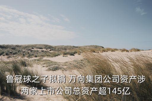 三花集團與萬向集團聯(lián)系