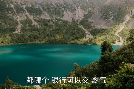 都哪個 銀行可以交 燃氣