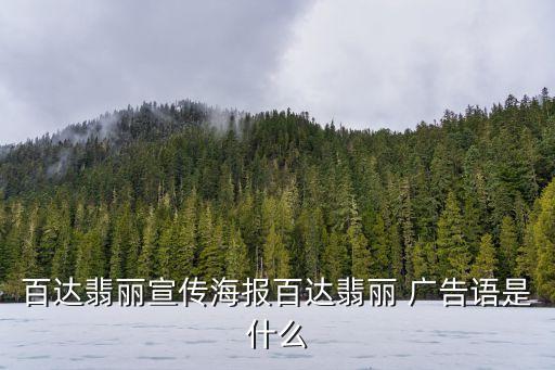 百達(dá)翡麗宣傳海報(bào)百達(dá)翡麗 廣告語是什么