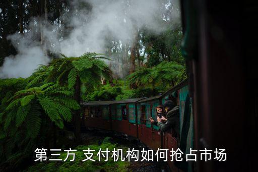 第三方支付公司的運營模式,試述國內外第三方支付運營模式對比