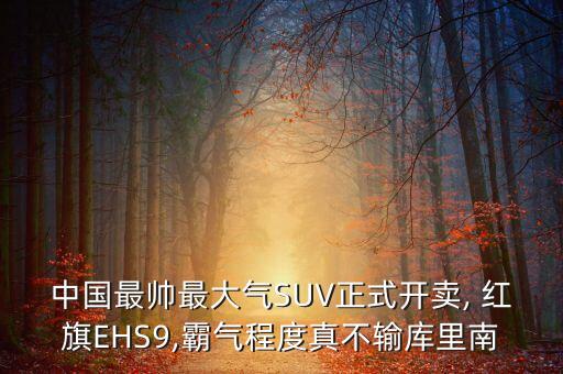 中國(guó)紅旗概念車,紅旗概念車L-Concept