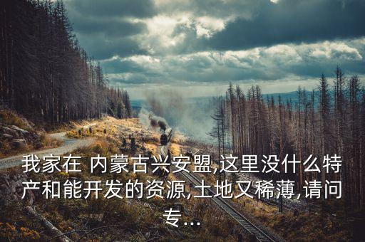 我家在 內蒙古興安盟,這里沒什么特產(chǎn)和能開發(fā)的資源,土地又稀薄,請問專...