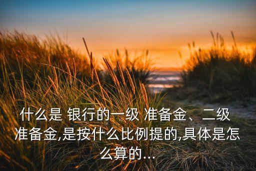 什么是 銀行的一級 準(zhǔn)備金、二級 準(zhǔn)備金,是按什么比例提的,具體是怎么算的...