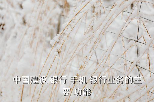 中國建設(shè) 銀行 手機(jī) 銀行業(yè)務(wù)的主要 功能
