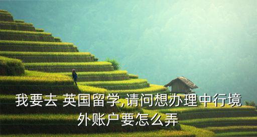 英國(guó)打中國(guó)銀行客服,英國(guó)的中國(guó)銀行可以辦理什么業(yè)務(wù)