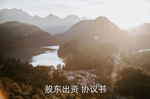  股東出資 協(xié)議書(shū)