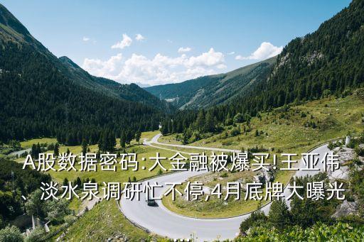 A股數(shù)據(jù)密碼:大金融被爆買!王亞偉、淡水泉調(diào)研忙不停,4月底牌大曝光...