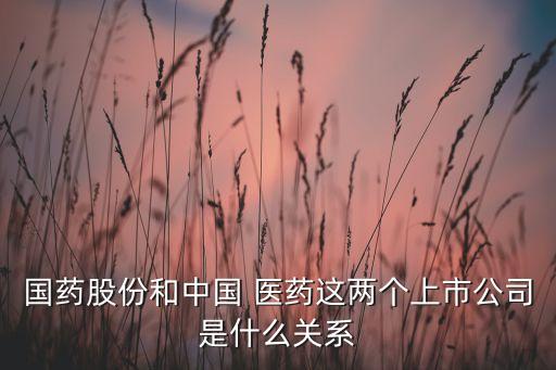 國藥股份和中國 醫(yī)藥這兩個(gè)上市公司是什么關(guān)系
